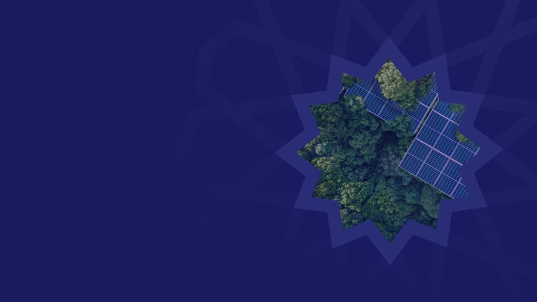 DMCC Pioneers of Sustainability Awards