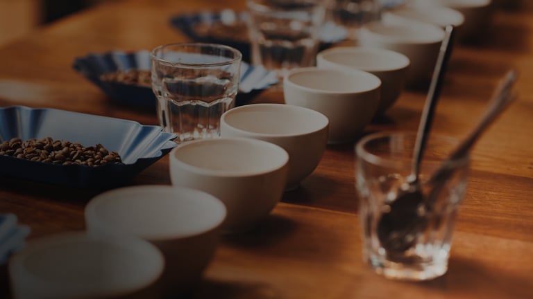 CQI Q Arabica Grader Course