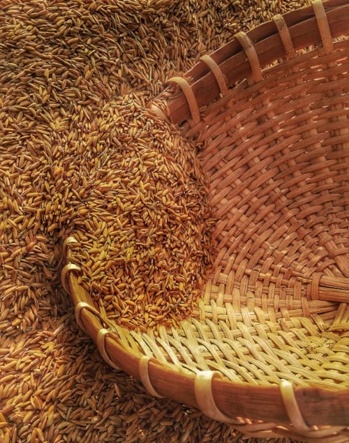 img-ecosystems-agro-agriculture