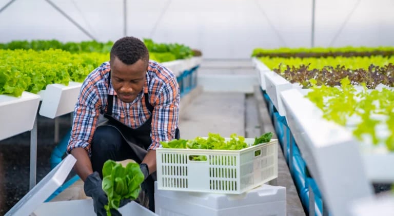 img-ecosystems-agro-harvest