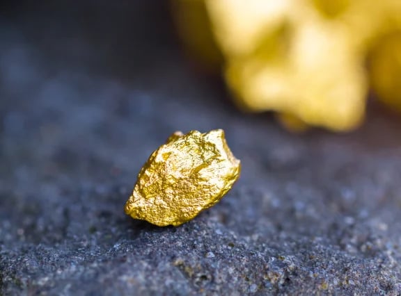 img-ecosystems-gold