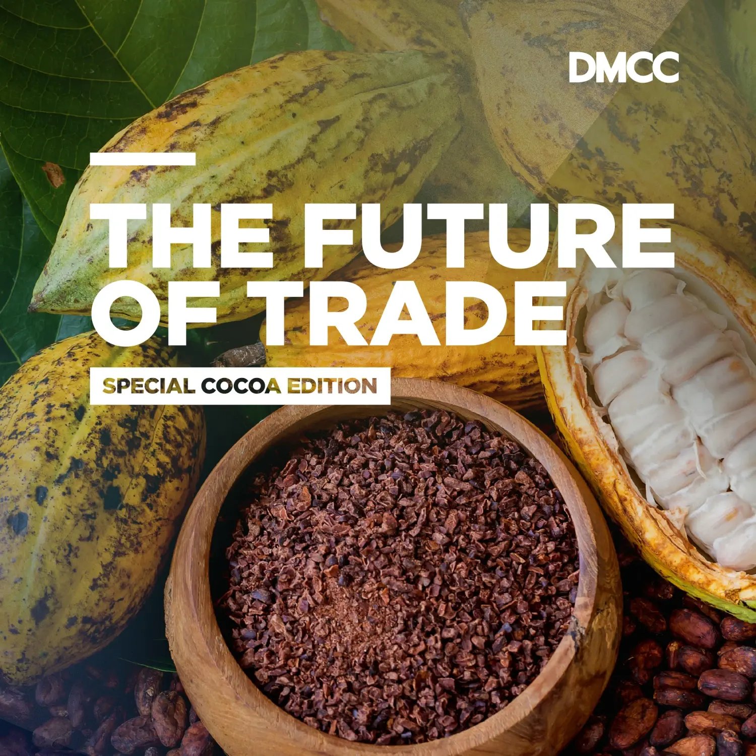 img_fot_report_listing_cocoa_insight