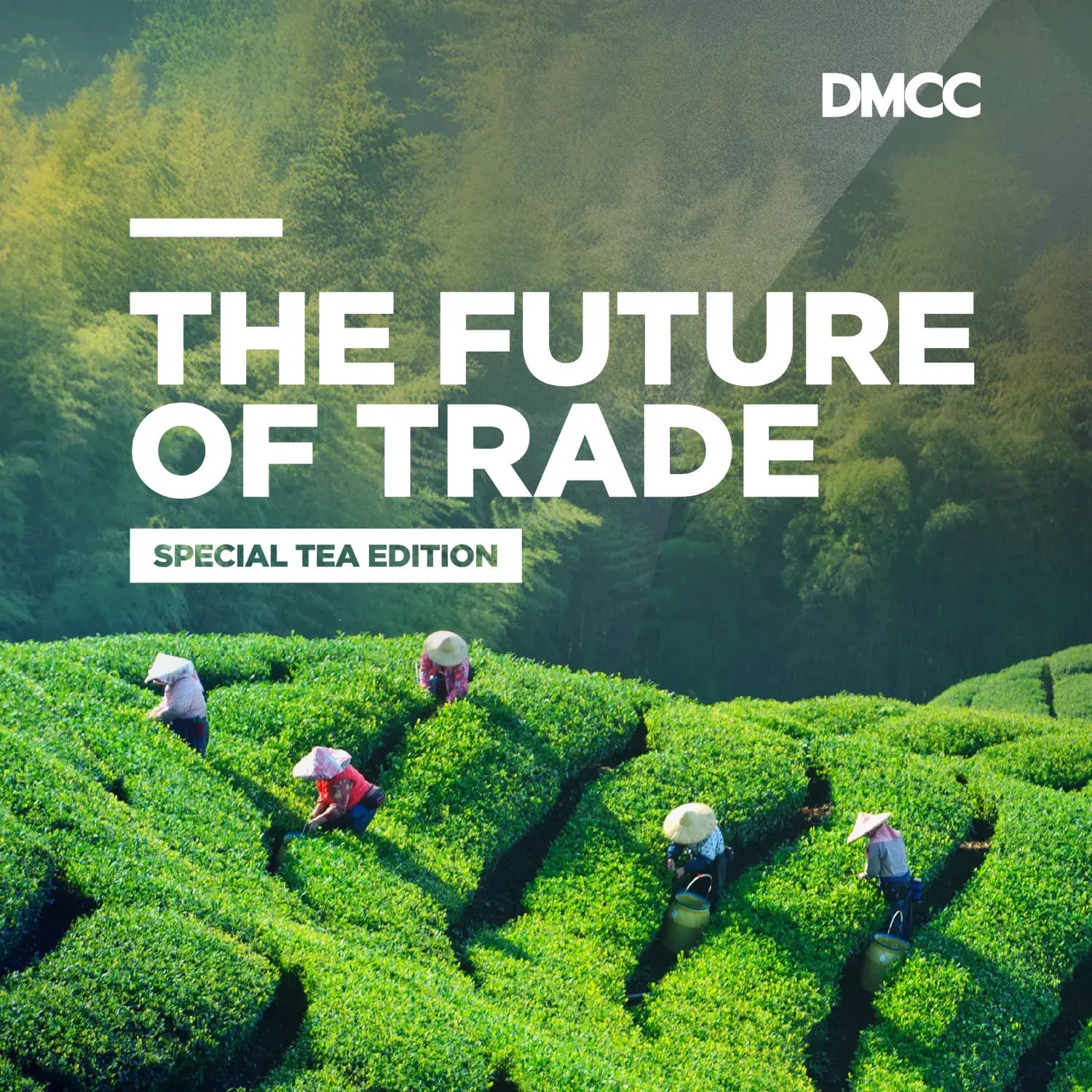 img_fot_report_listing_tea_insight (1)